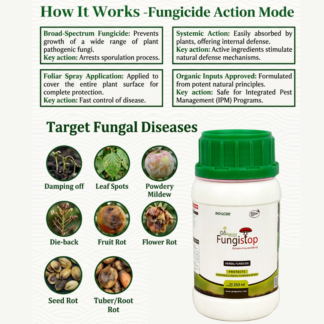 Infographic showing Go4ganics Fungistop herbal fungicide protecting plants from damping off, leaf spots, powdery mildew, and root rot.