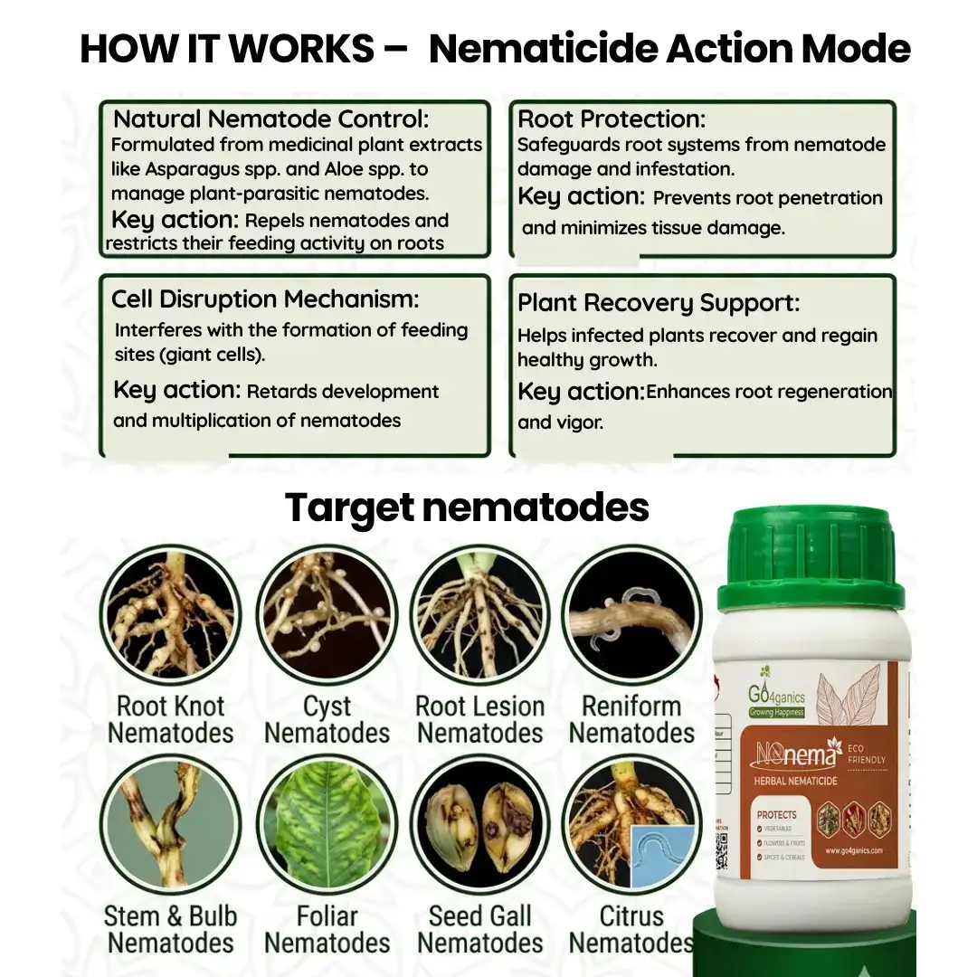 Infographic showing NoNemah herbal nematicide by Go4ganics for plant root protection against root knot, cyst, and reniform nematodes.