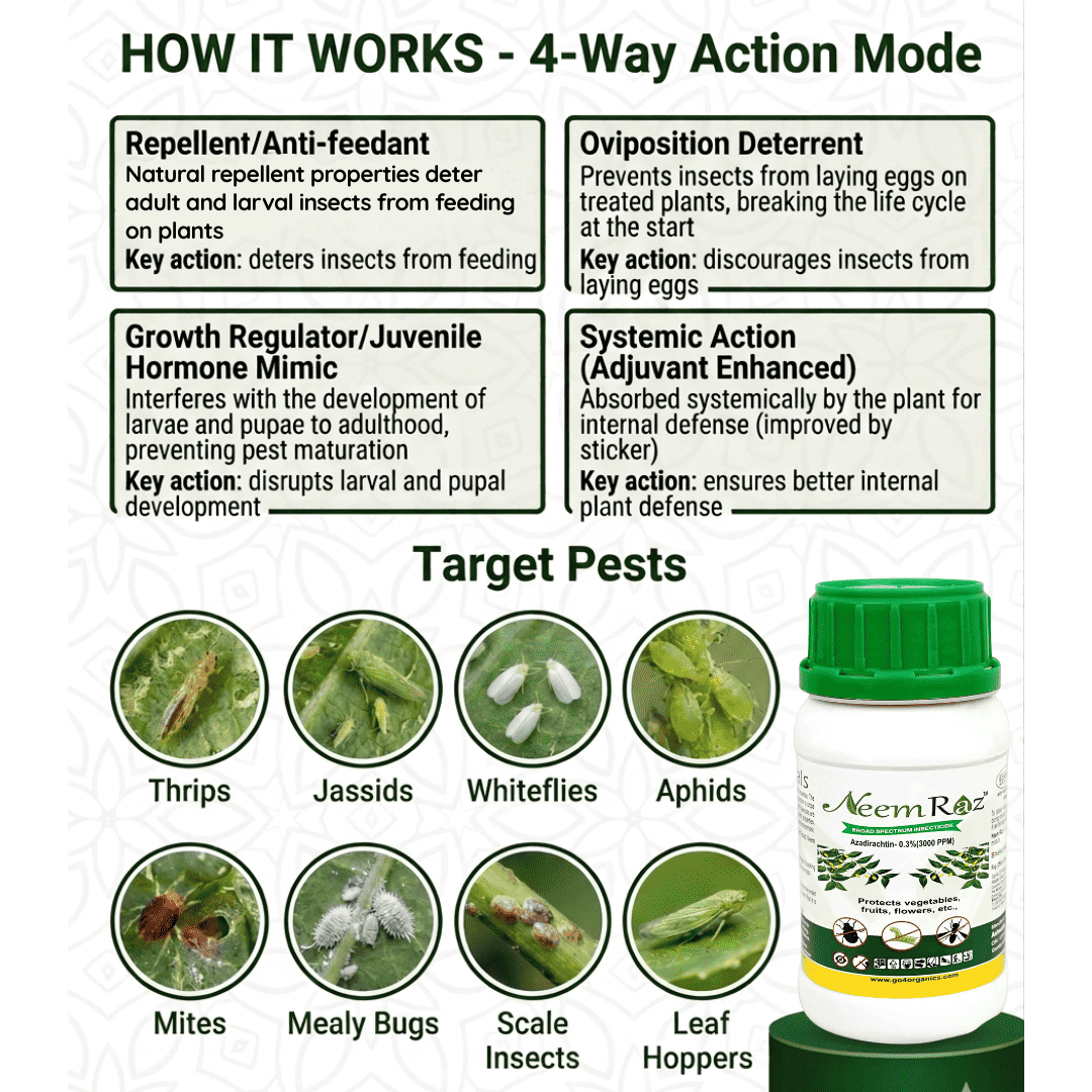 Neem Raz Organic Insecticide spray from Go4ganics showing 4-way action against thrips, aphids, mites, and mealy bugs on plants.