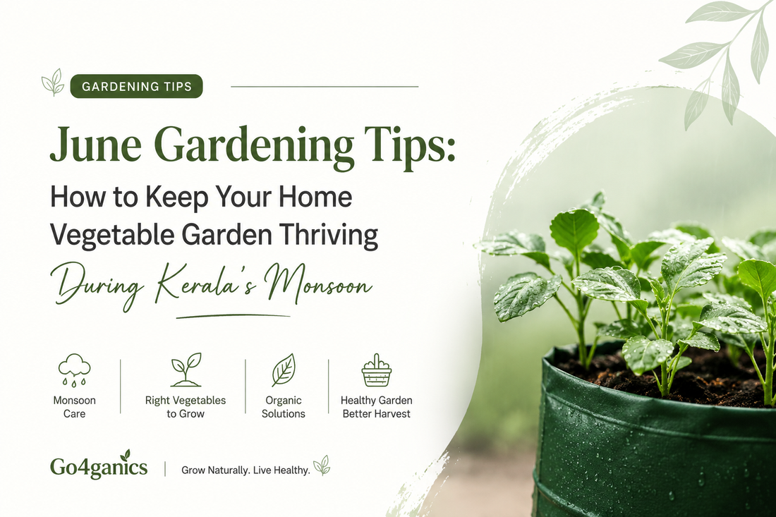 June Gardening Tips for Kerala: Best Vegetables to Grow This Season and Essential Monsoon Garden Care