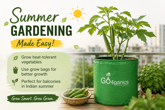 balcony gardening in Indian summer