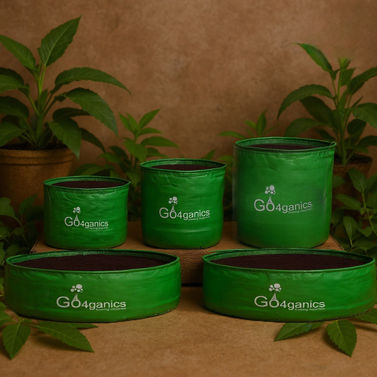 Grow Bags Explained: Why Smart Gardeners Are Switching from Pots to Grow Bags - Go4ganics