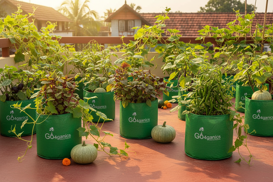 Grow Your Own Onam Sadhya: Onam Vegetables to Grow at Home for Next Year's Harvest