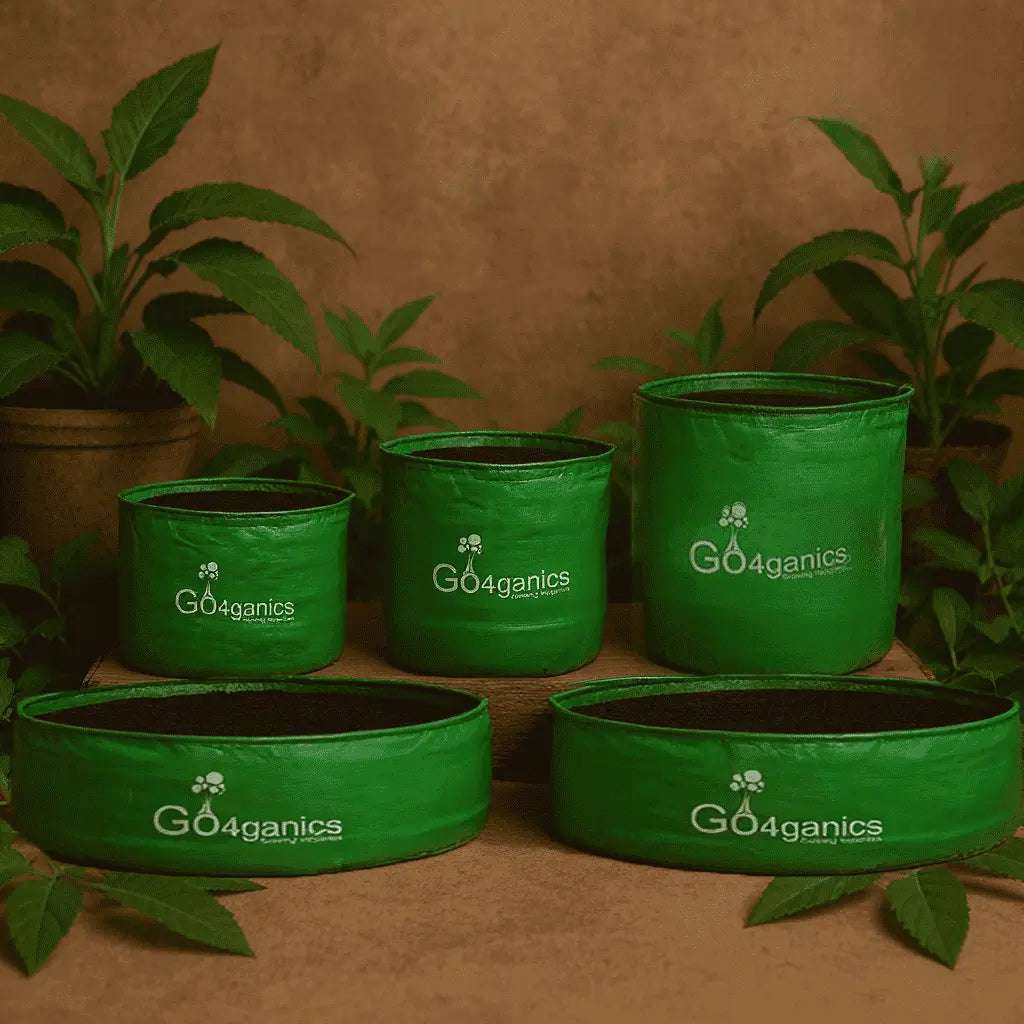 Grow Bags vs Pots - Benefits of Grow Bags for Home Gardening