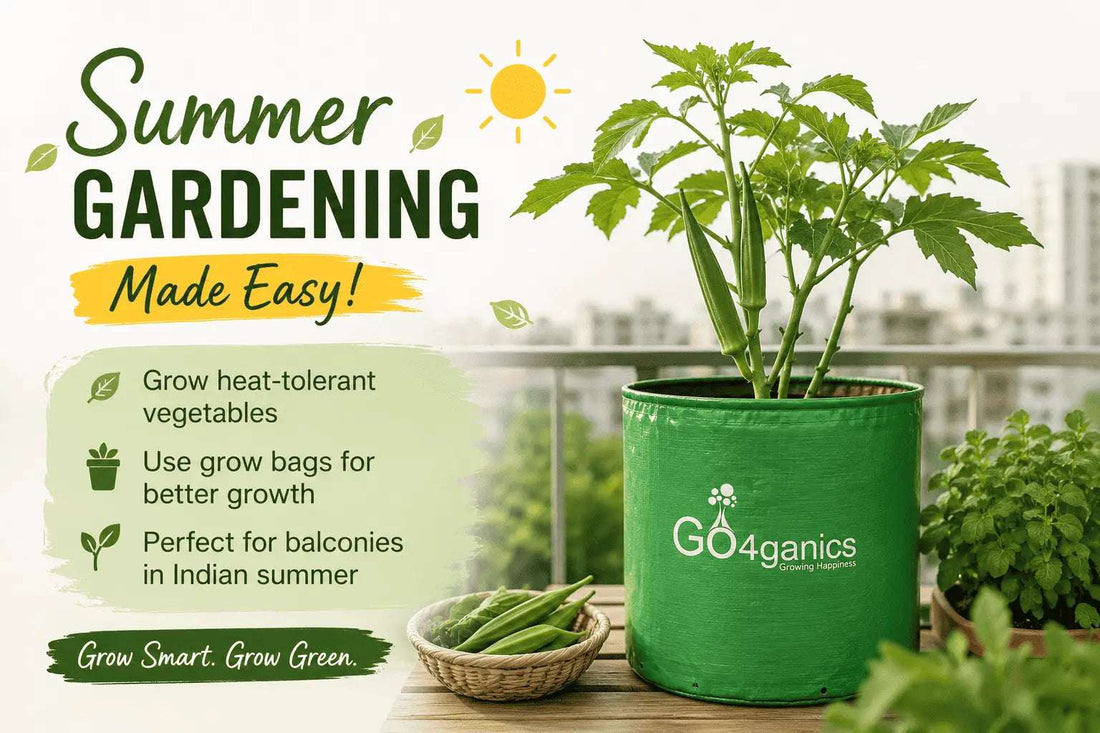 Balcony Gardening in Indian Summer: What to Grow, What to Avoid