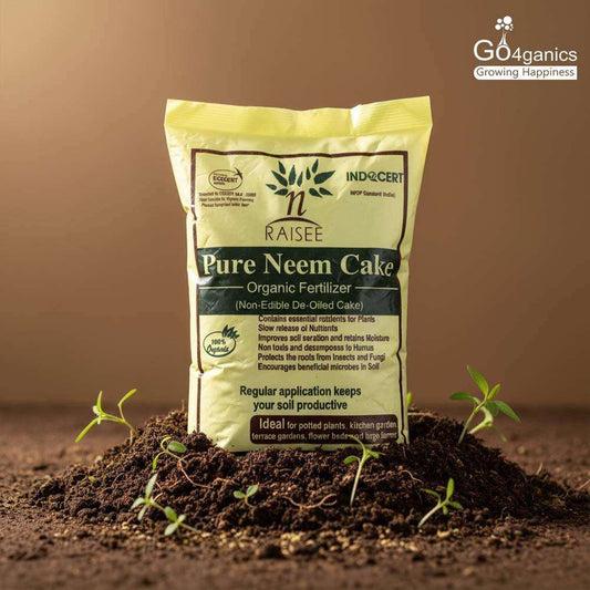 How Neem Cake Improves Soil Health: A Natural Way to Grow Stronger, Healthier Plants