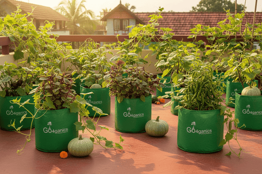Grow Your Own Onam Sadhya: Onam Vegetables to Grow at Home for Next Year's Harvest