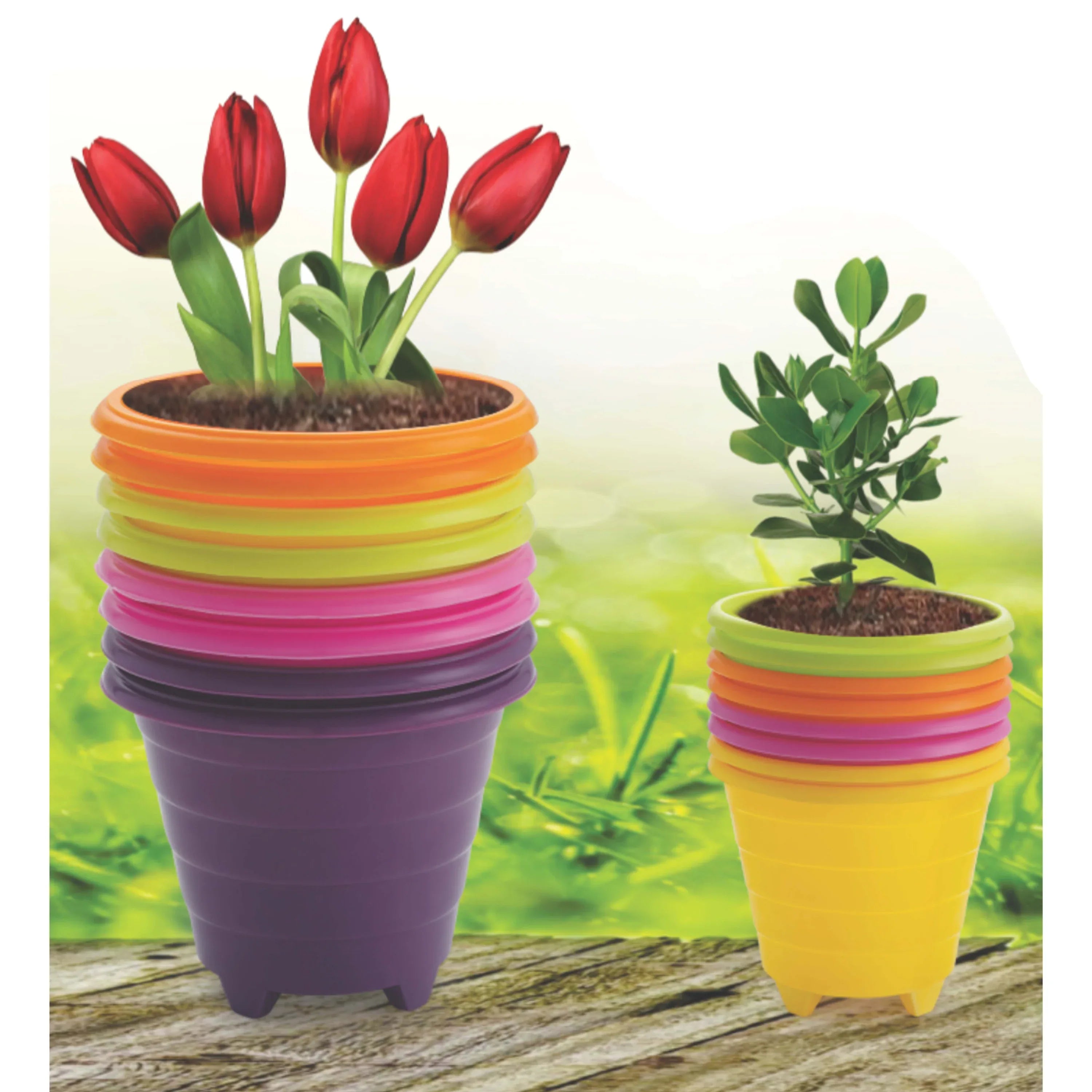 Accessories - Go4ganics