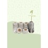 Coco peat coins (50 PCS)