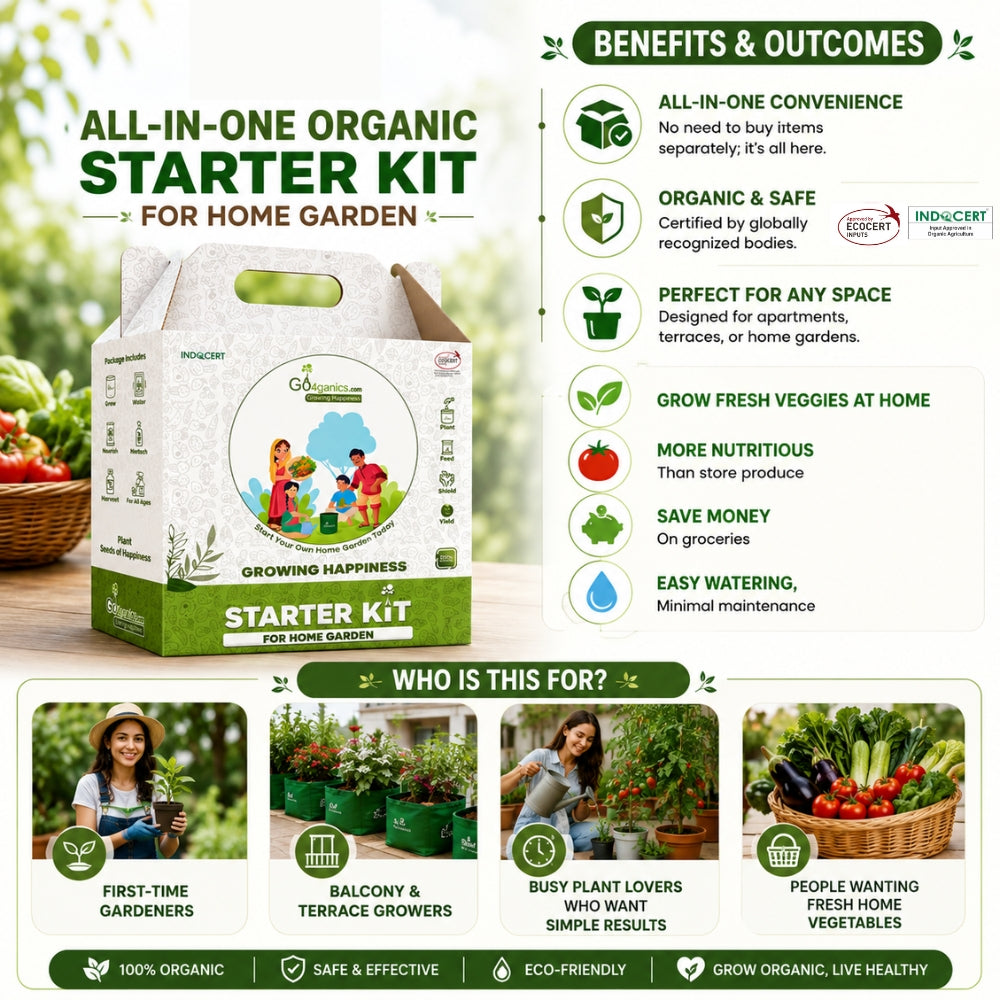 All-in-one organic vegetable garden kit for beginners – balcony and terrace ready
