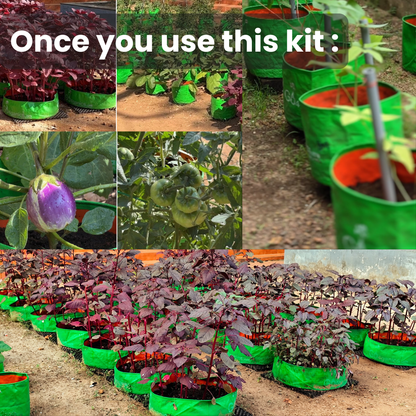 Home Garden Starter Kit - Grow Fresh, Organic Vegetables in Your Balcony - Go4ganics