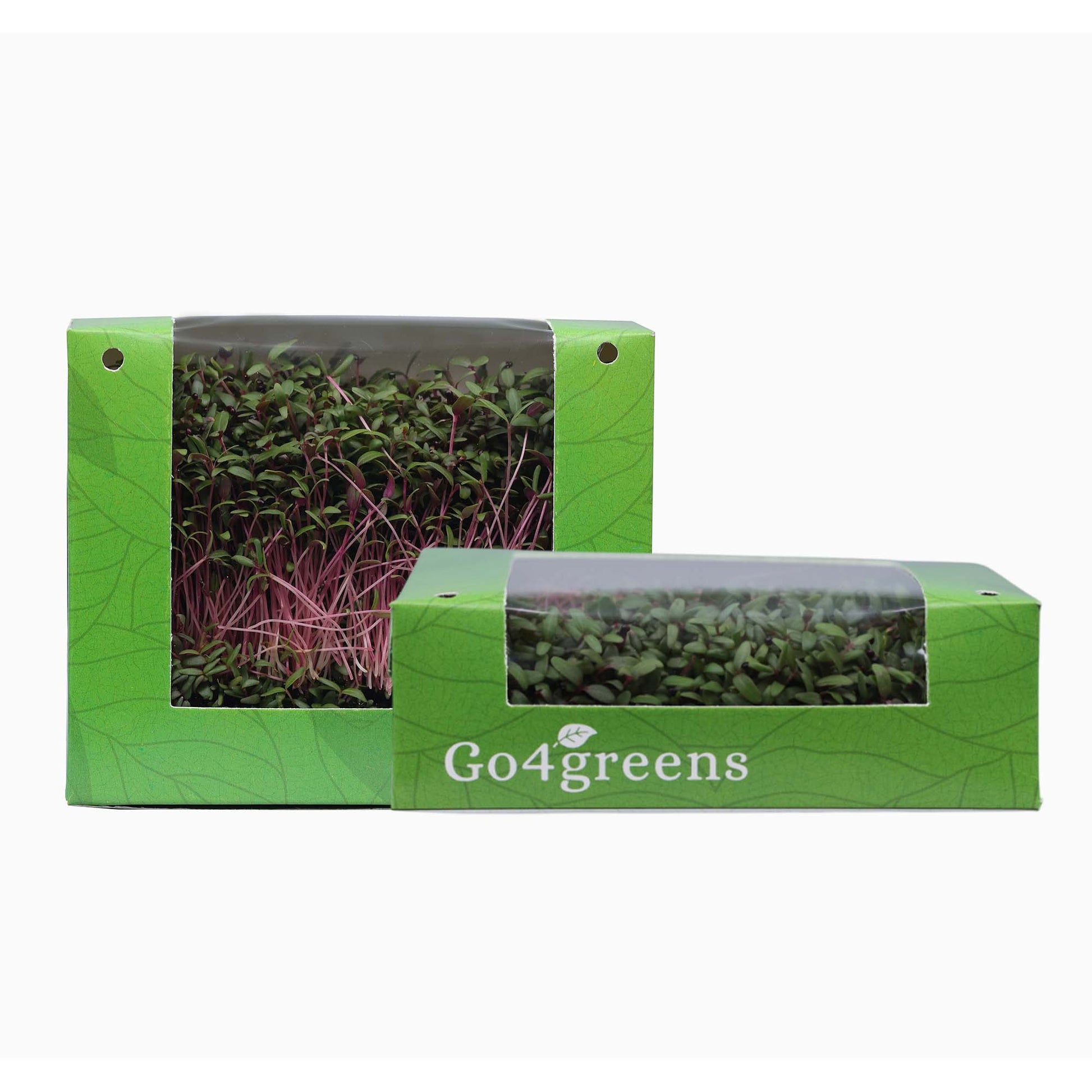 Amaranthus Microgreens