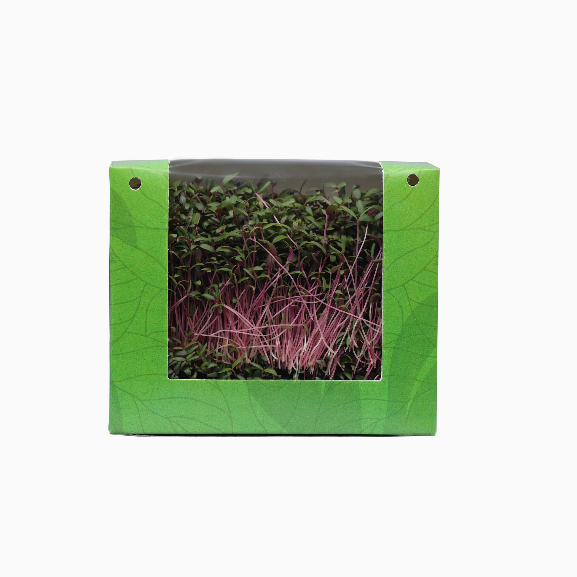 Amaranthus Microgreens