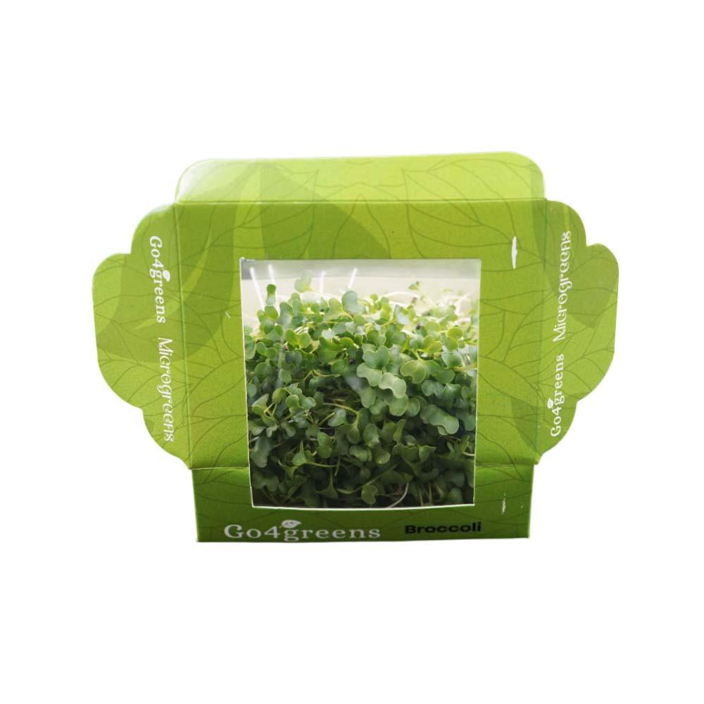 Fresh broccoli microgreens from Go4ganics, showing vibrant green microgreens with delicate leaves and slender stems.