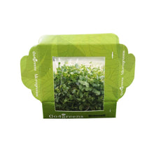 Fresh green broccoli microgreens from Go4ganics, showcasing vibrant, tender microgreens on a white background.