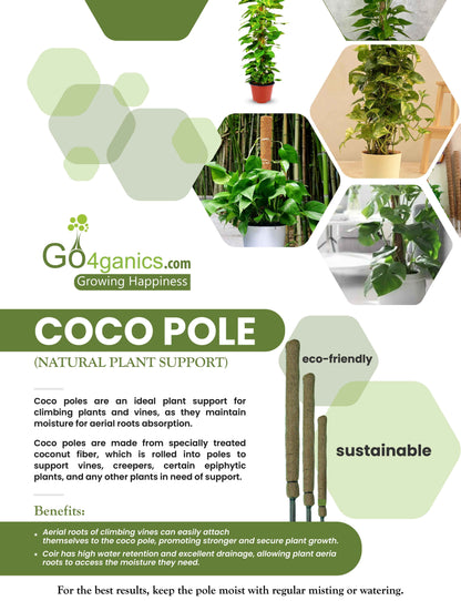 Coco Pole