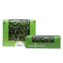 Fenugreek Microgreens