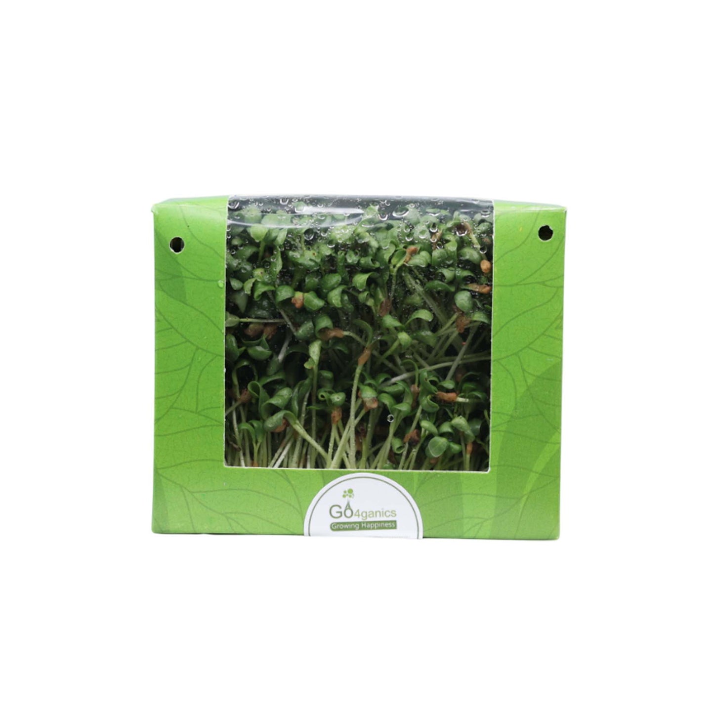 Fenugreek Microgreens