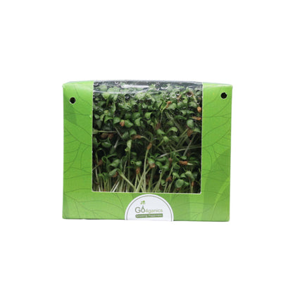 Fenugreek Microgreens