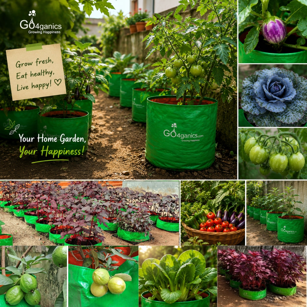 A collage showing many green fabric grow bags filled with plants and vegetables in an outdoor garden setting. The central bag has the GO4ganics logo, and a sticky note says 'Grow fresh, Eat healthy, Live happy!'.