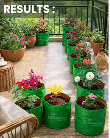 Starter Kit for Home Garden - Grow Fresh Vegetables at Home in Just 7 Days