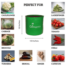 Set of 10 HDPE grow bags for vegetable planting by Go4ganics, durable gardening containers for healthy plant growth.