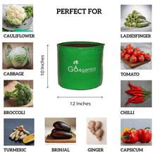 Set of 10 HDPE grow bags by Go4ganics for vegetable gardening, durable black plastic containers for healthy plant growth.