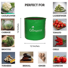 Set of 10 HDPE grow bags for plants by Go4ganics, ideal for vegetable gardening, made from durable HDPE material.