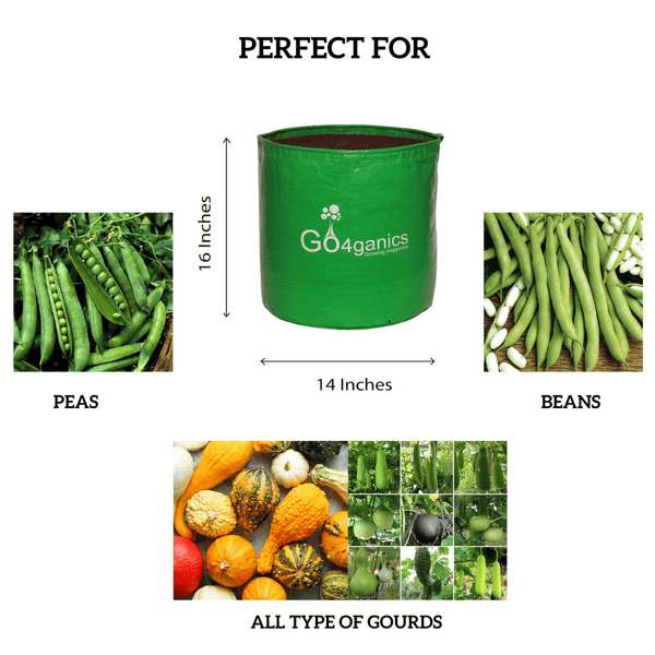 Set of 10 HDPE Grow Bags for vegetables by Go4ganics, durable plant planting containers for gardening and vegetable growth.