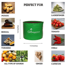 Set of 10 HDPE grow bags for vegetables by Go4ganics, durable plastic planting containers for gardening and plant growth.