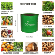 Set of 10 HDPE Grow Bags for plants by Go4ganics, 16x18 inches, ideal for vegetable gardening and plant cultivation.