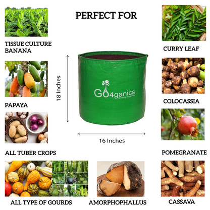 HDPE Grow Bag (10 PCS)