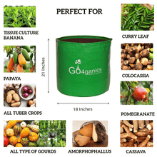 Set of 10 HDPE grow bags for vegetables by Go4ganics, durable plastic containers for gardening and plant cultivation.