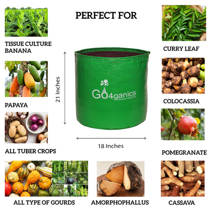 HDPE Grow Bag (10 PCS)