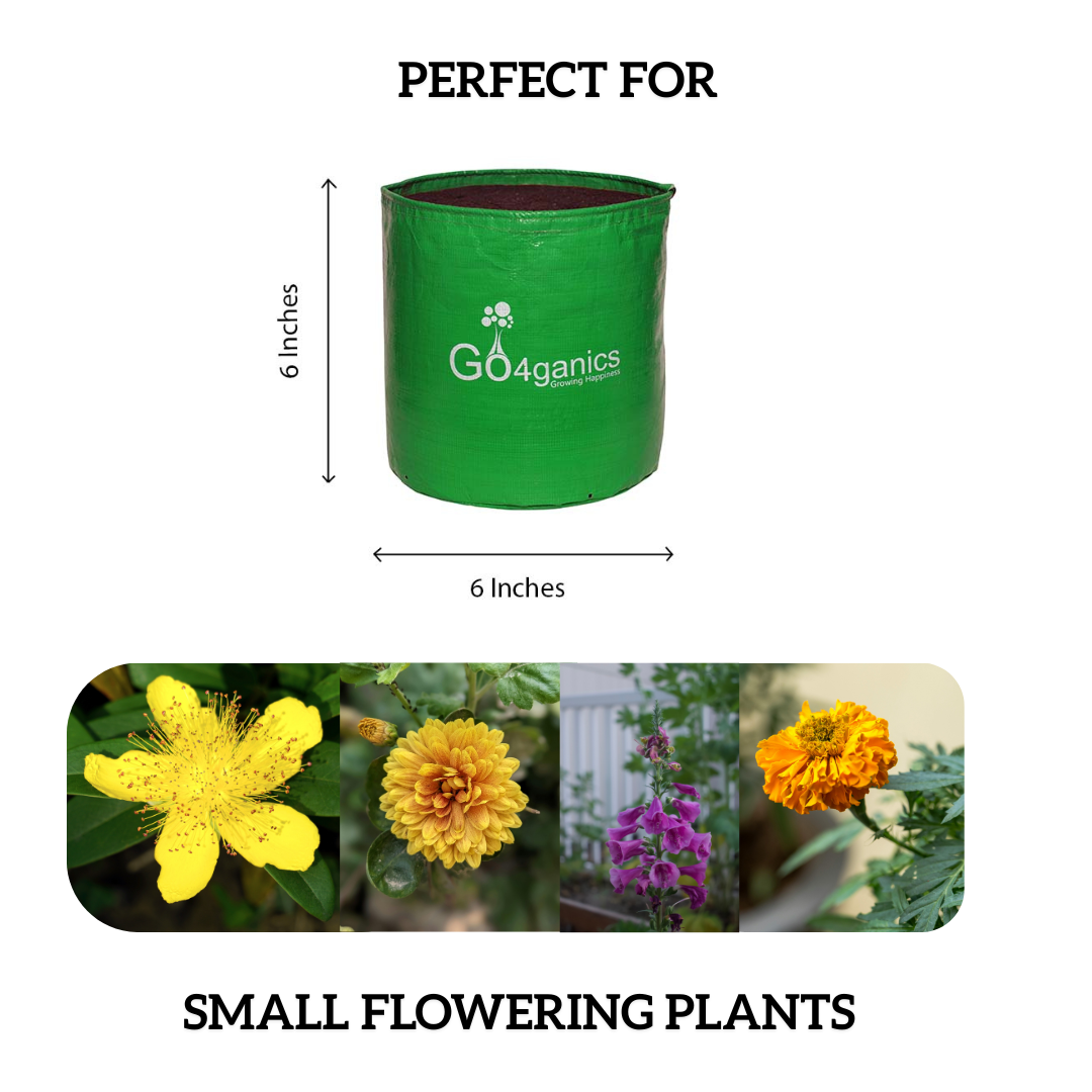 HDPE Grow Bag (10 PCS)