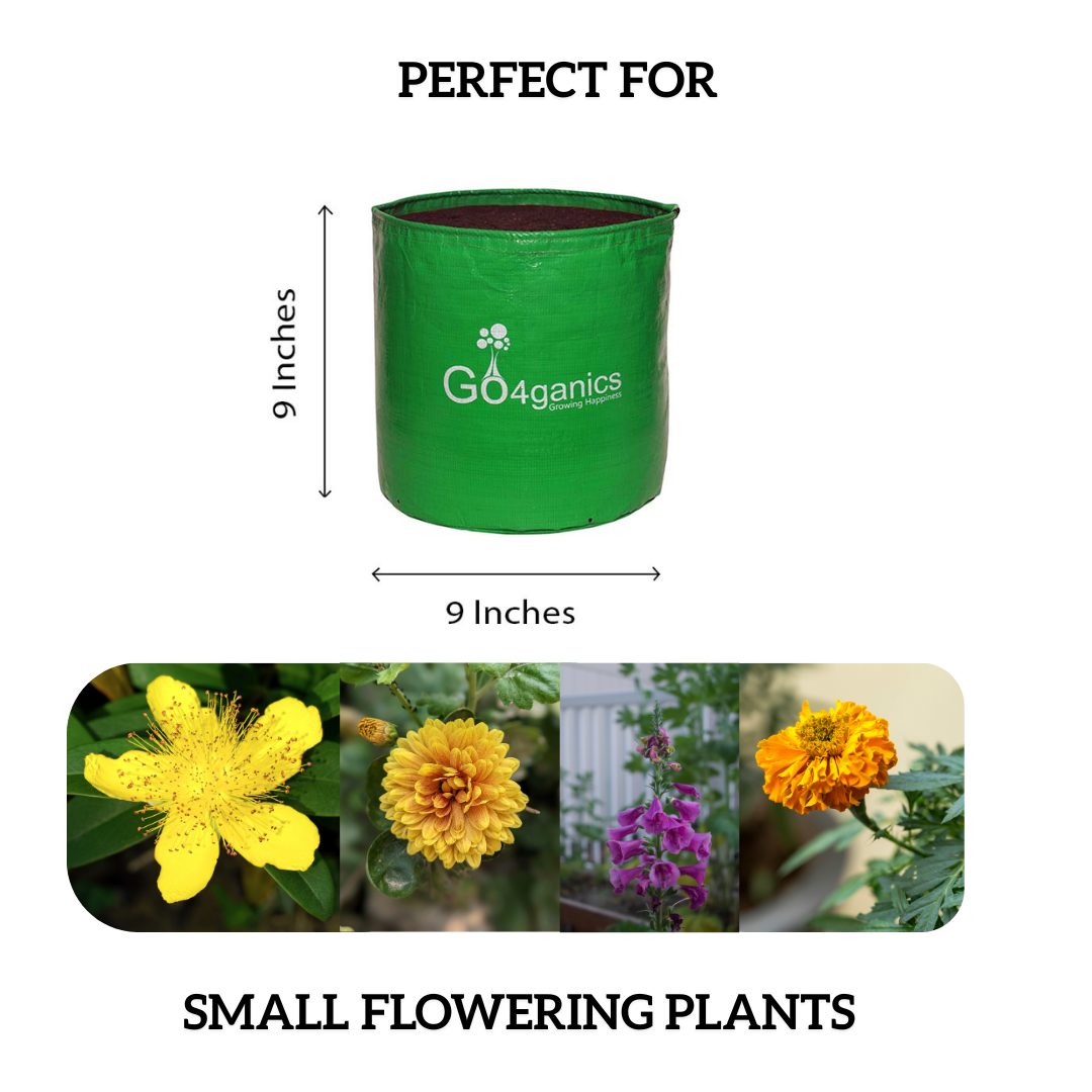 HDPE Grow Bag (10 PCS)