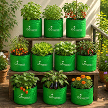 Premium 220 GSM HDPE Green Go4ganics grow bags  with various plants on a wooden shelf pack of 10 outdoors.