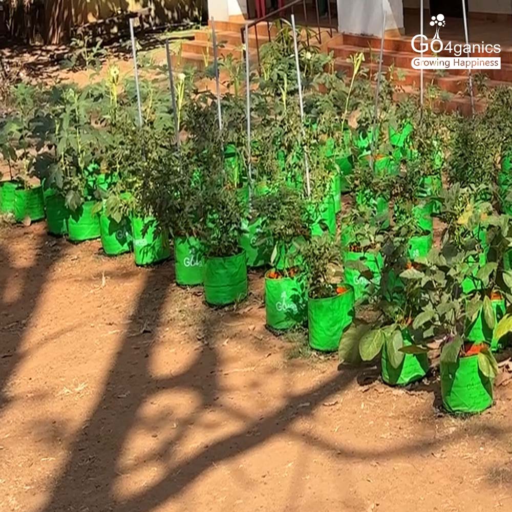 Vegetable Grow Bag Combo (Pack of 5)