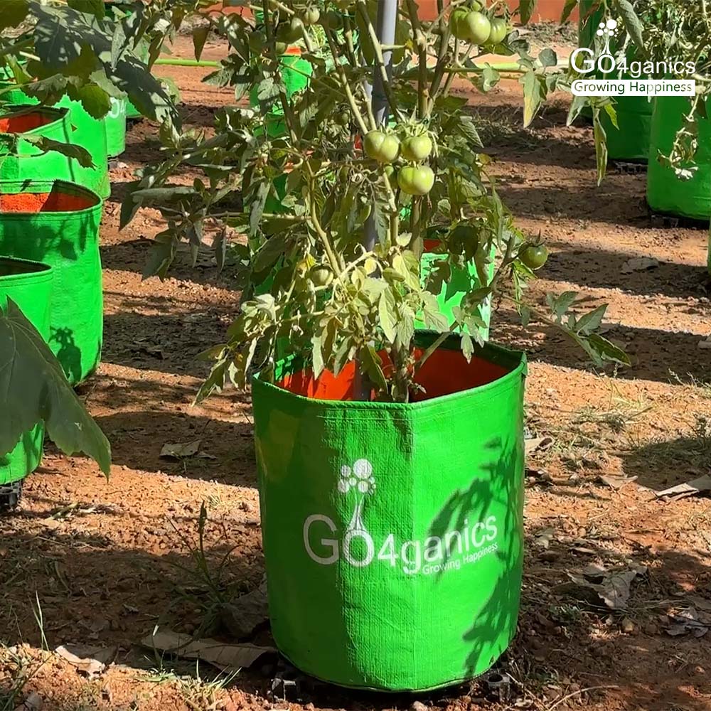 HDPE Grow Bag (Any Size - Minimum order 5 pcs)