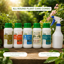 all-around plant care solutions and a white spray bottle arranged on a wooden surface with green foliage in the background