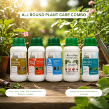 Botanicals all-rounder plant care solution arranged on a wooden table in a garden setting