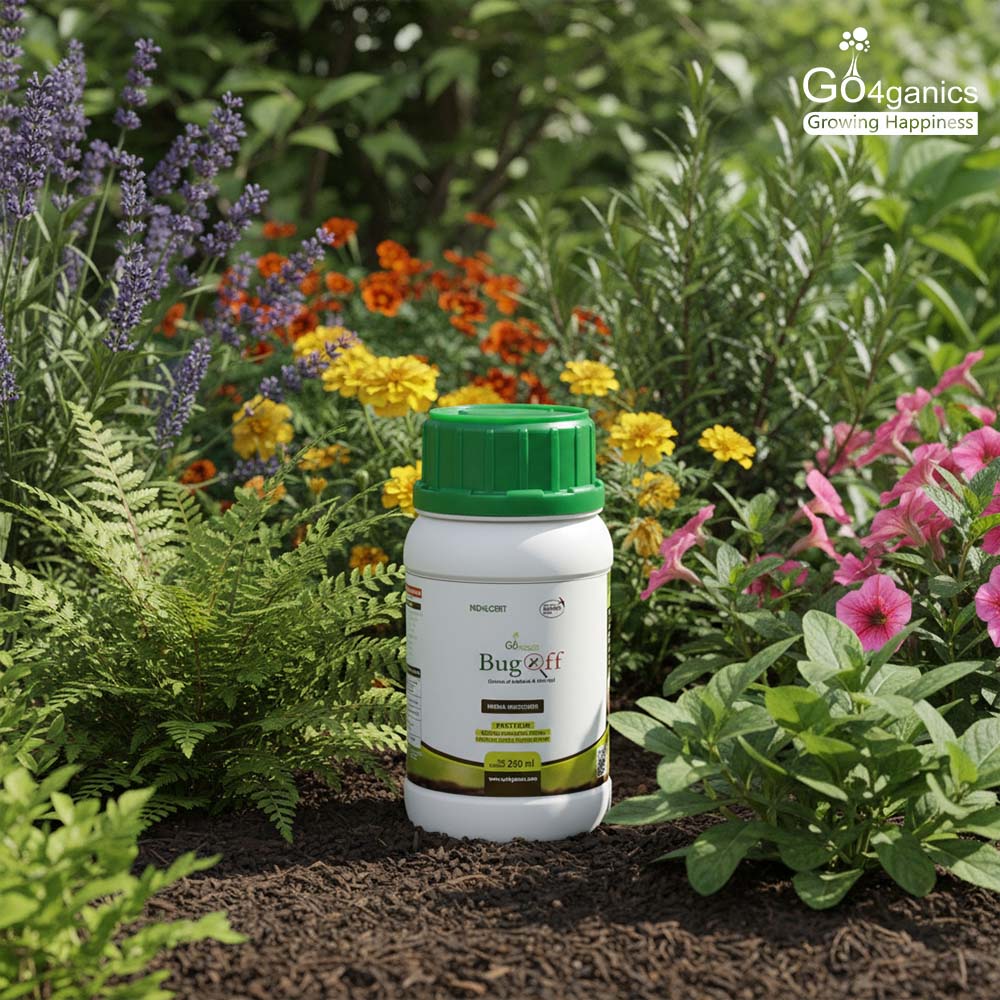BugOff (Herbal Insecticide)