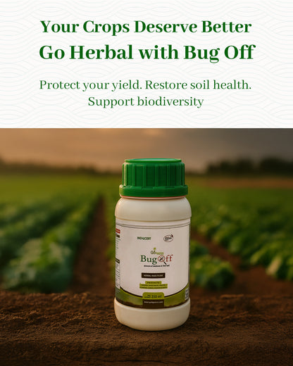 BugOff (Herbal Insecticide)