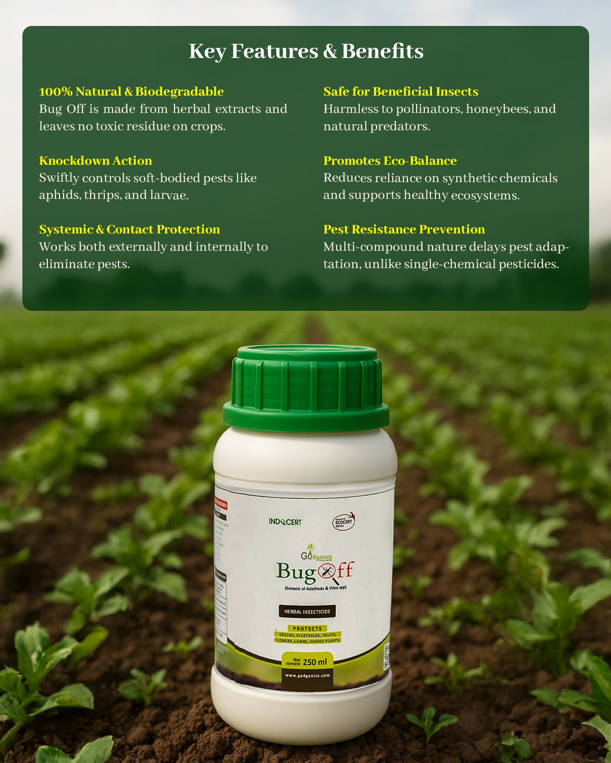 BugOff (Herbal Insecticide)