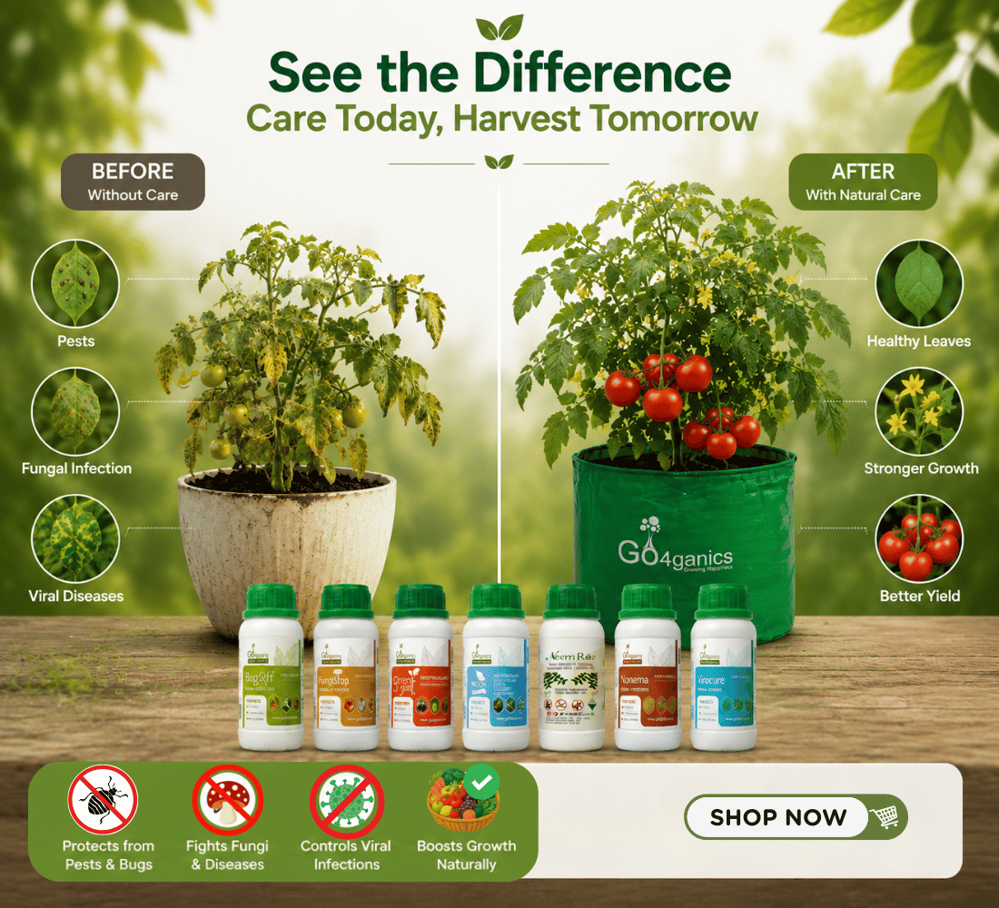 Go4ganics organic plant and vegetable nutrients with green caps are lined up against a bright, sunlit garden background. 