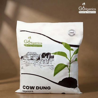 Cow Dung Powder