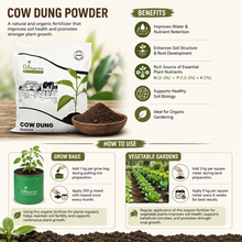 Cow Dung Powder organic fertilizer. The image features a white and green bag of the product, a bowl of dark brown cow dung, and various text panels detailing the benefits and how-to-use instructions with illustrations of plants and vegetable gardens.