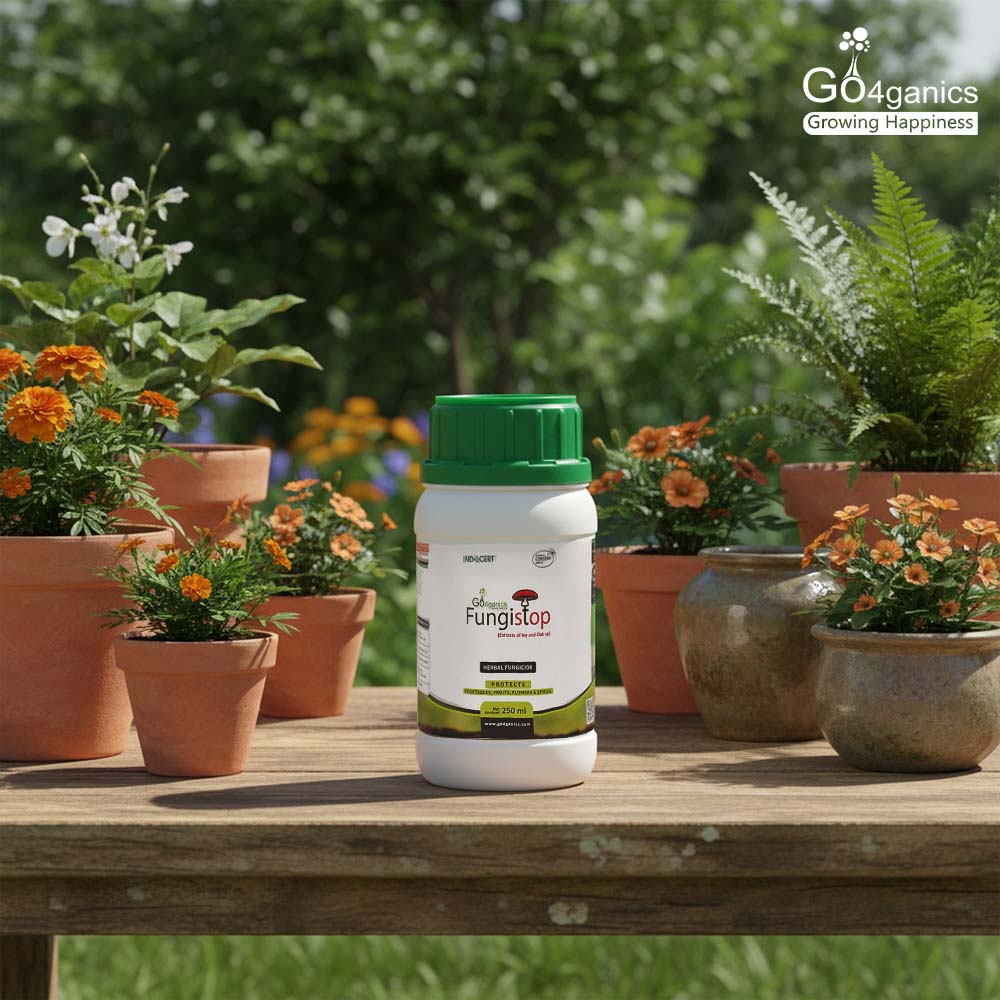 Fungistop (Herbal Fungicide)
