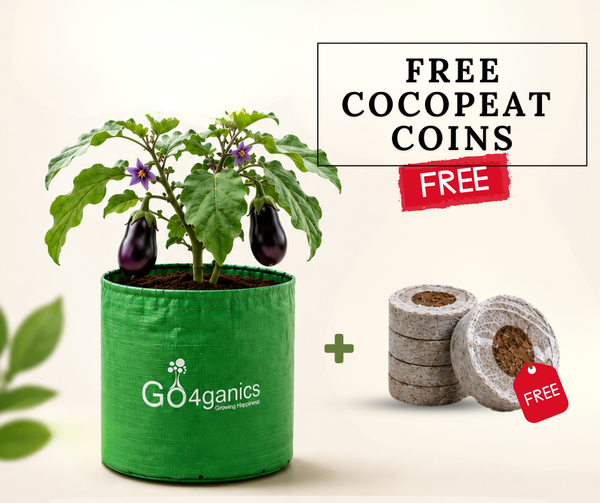 Go4ganics Grow Bag Pack with Free Cocopeat Coins – August Sale offer