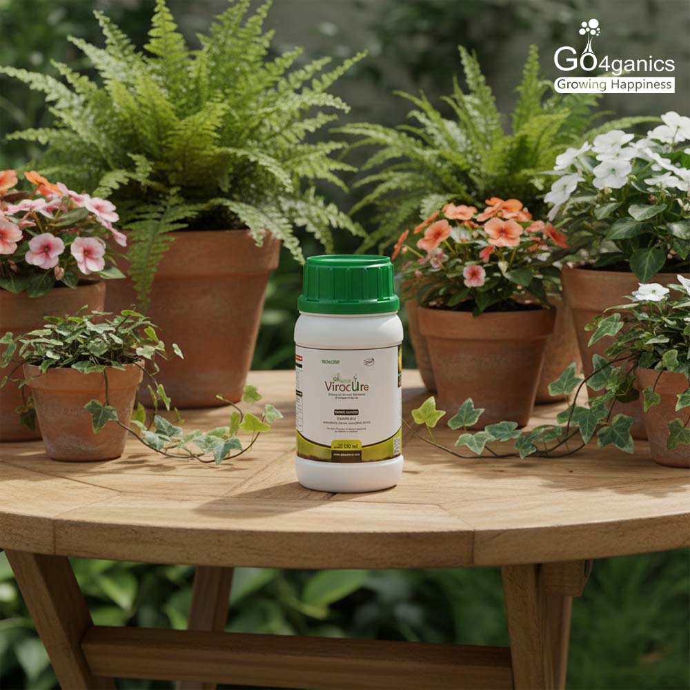 Virocure (Herbal Viricide)